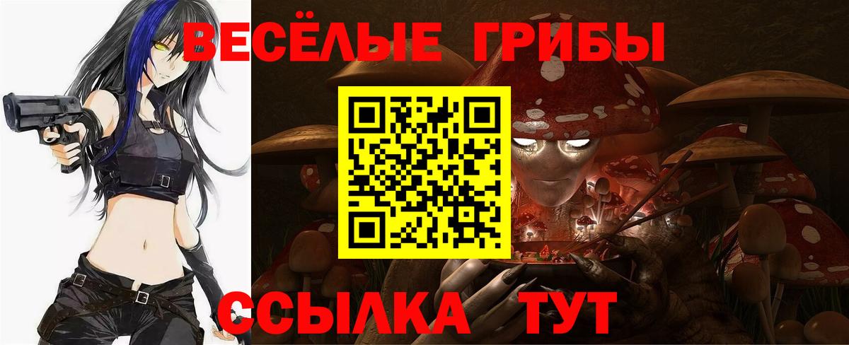 Кимры  Галлюциногенные грибы GOLDEN TEACHER  Вход с VPN 